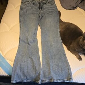 Hollister High Rise Sz 12long 31w Flare Jeans